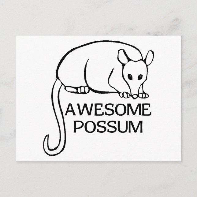 Awesome Possum Postcard (Front)