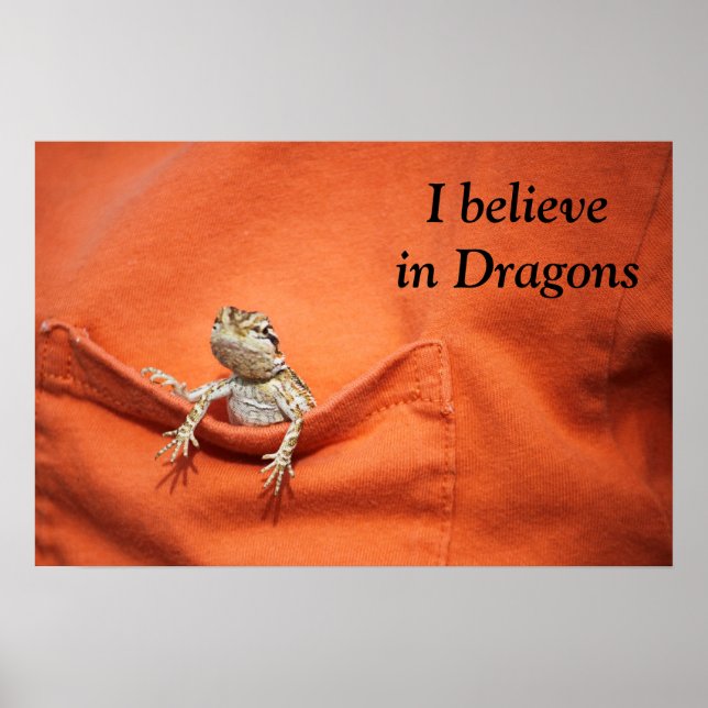 awesome poster for the reptile/bearded dragon fan (Front)