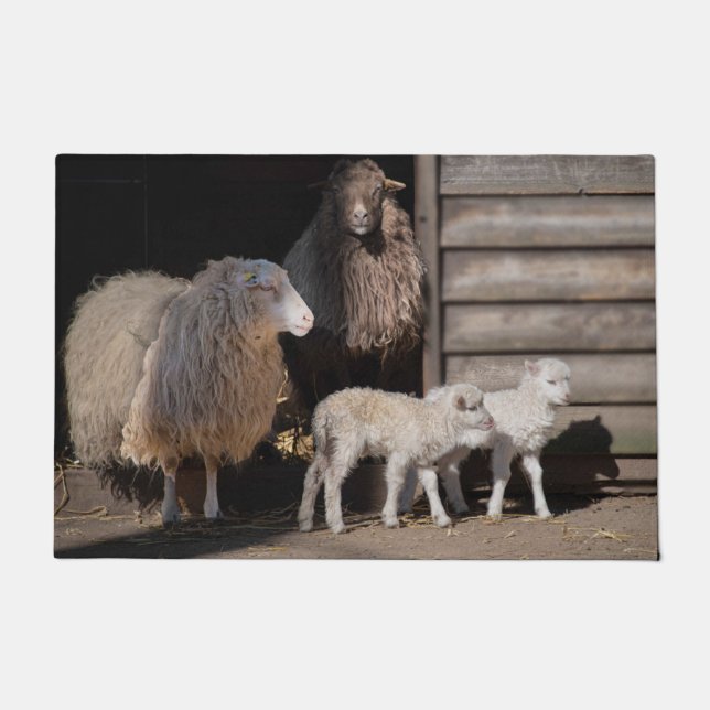 Awesome Sheep with Lambs Animal Photograph Doormat (Front)