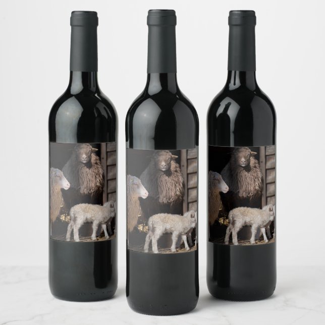 Awesome Sheep with Lambs Animal Photograph Wine Label (Bottles)