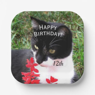 Awesome Tuxedo Cat in Garden Personal Paper Plate
