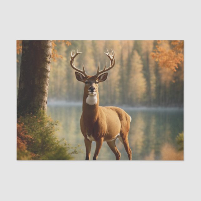 Awesome Twelve Point Buck in Autumn Waters Tissue Paper (Front)