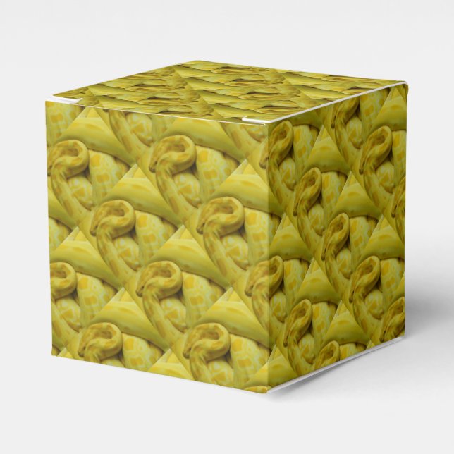 Awesome Yellow Burmese Python Favor Box (Front Side)
