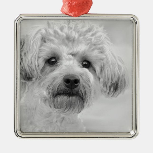 Awesome  Yorkie Poo in Sepia Tones Metal Ornament (Front)