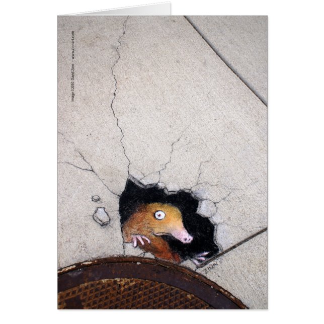 awkward mole (Front)