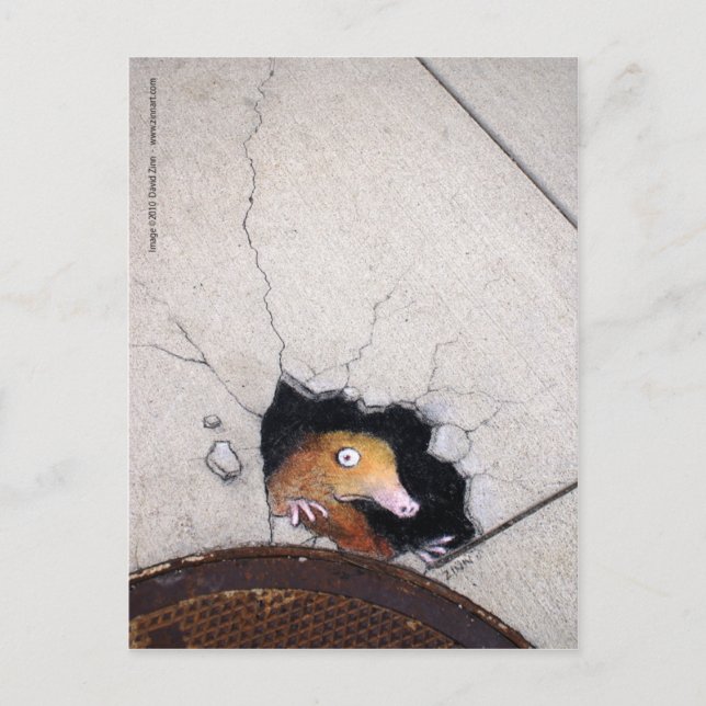 awkward mole postcard (Front)