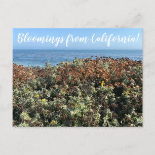aWorld2Celebrate: Bloomings from California! Postcard