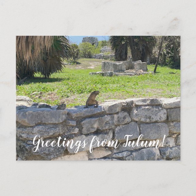 aWorld2Celebrate: Greetings from Tulum! Postcard (Front)