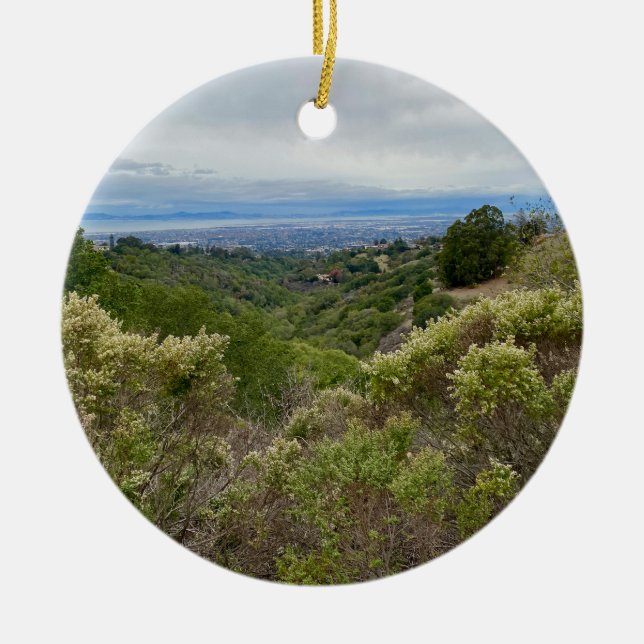 aWorld2Celebrate: Hayward, CA Ceramic Ornament (Front)