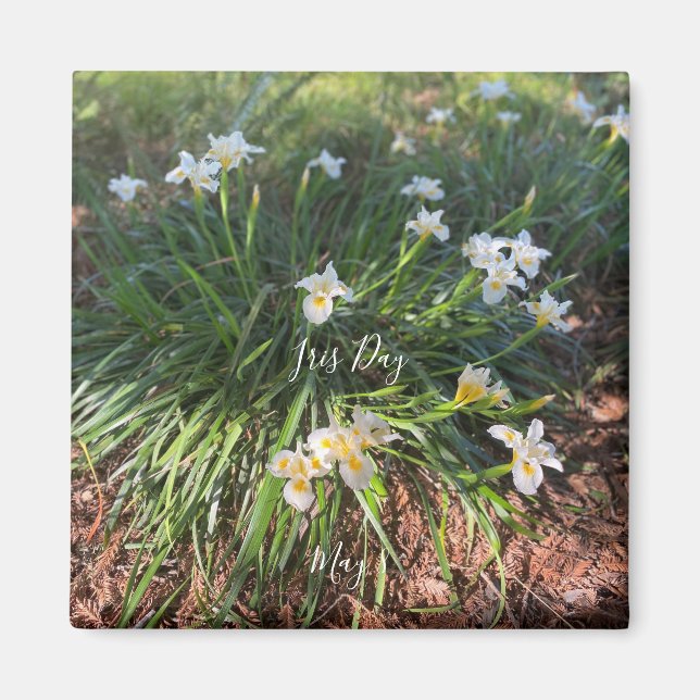 aWorld2Celebrate: Iris Day Magnet (Front)