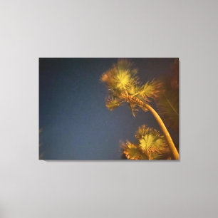 aWorld2Celebrate: Starry Palms Canvas Print