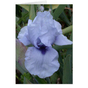 Awsome Blue Iris Card