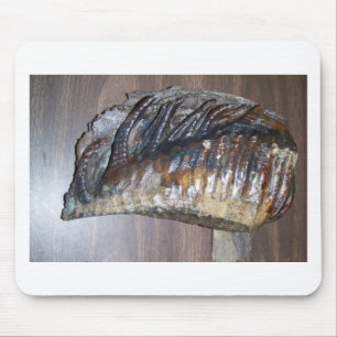 awsome Mammoth tooth Mouse Pad