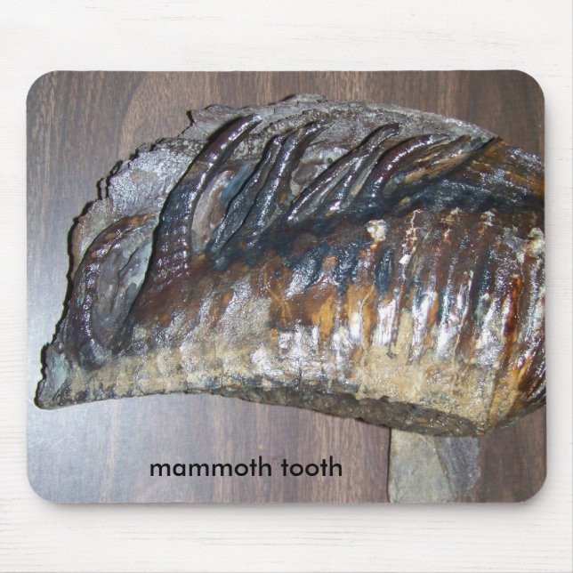 awsome tooth, mammoth tooth mouse pad (Front)