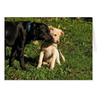 Awww...Do I Have To Share?