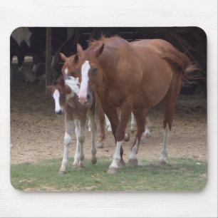 AX- Horse Lovers Design Mouse Pad