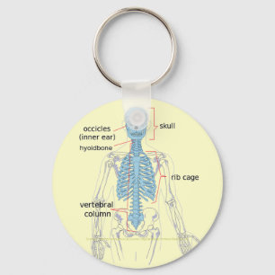 Axial skeleton diagram for medical students keychain