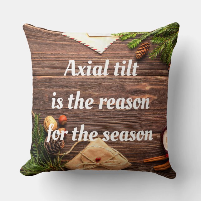"Axial tilt is the reason for the season" pillow (Front)