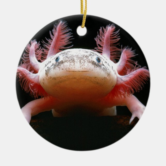 Axolotl Axolotl.png Ceramic Ornament (Front)