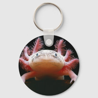 Axolotl Axolotl.png Keychain