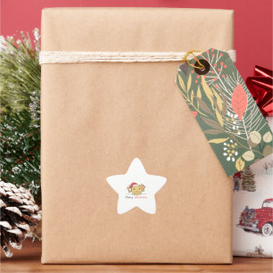 Axolotl Christmas Snow Winter Animals Axolotls Star Sticker