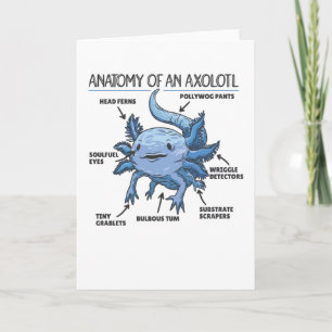 Axolotl Explanation Anatomy Of An Axolotl Card