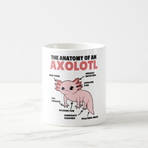 Axolotl Explanation Anatomy Of An Axolotl Coffee Mug
