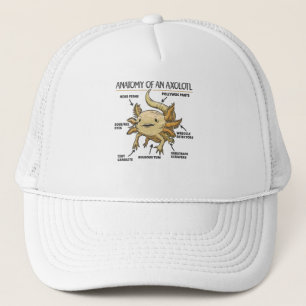 Axolotl Explanation Anatomy Of An Axolotl Trucker Hat