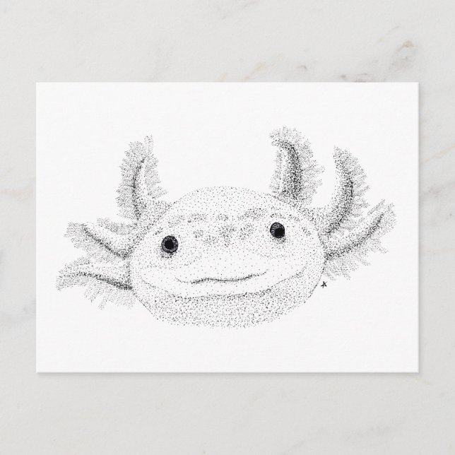 Axolotl Postcard (Front)
