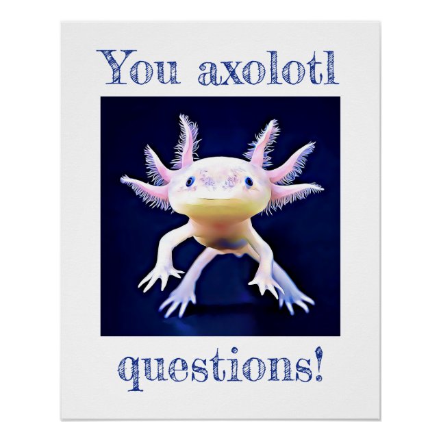 Axolotl Salamander Amphibian Poster (Front)
