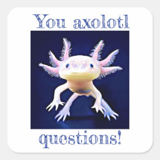 Axolotl Salamander Amphibian Square Sticker