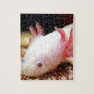 Axolotl Weiling Jigsaw Puzzle