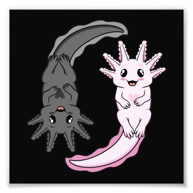 Axolotl Yin Yang Kawaii Animal Axolotls Lover Owne Photo Print (Front)