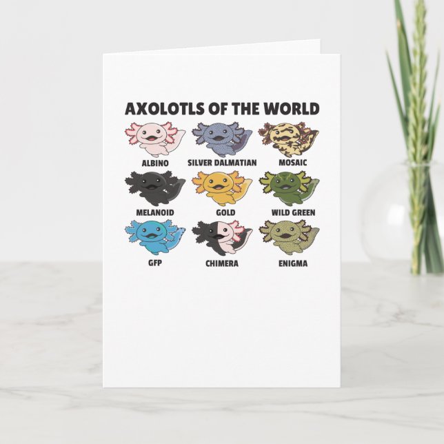 Axolotls From The World Sweet Animals Axolotl Card (Front)