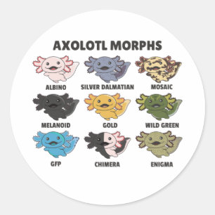 Axolotls From The World Sweet Animals Axolotl Clas Classic Round Sticker