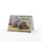 AY- Funny Dachsund Puppy Dog Get Well Card