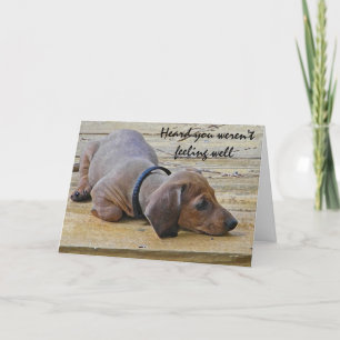 AY- Funny Dachsund Puppy Dog Get Well Card