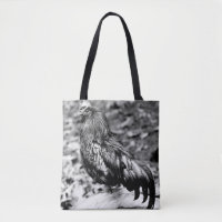 Ayam Cemani Mono