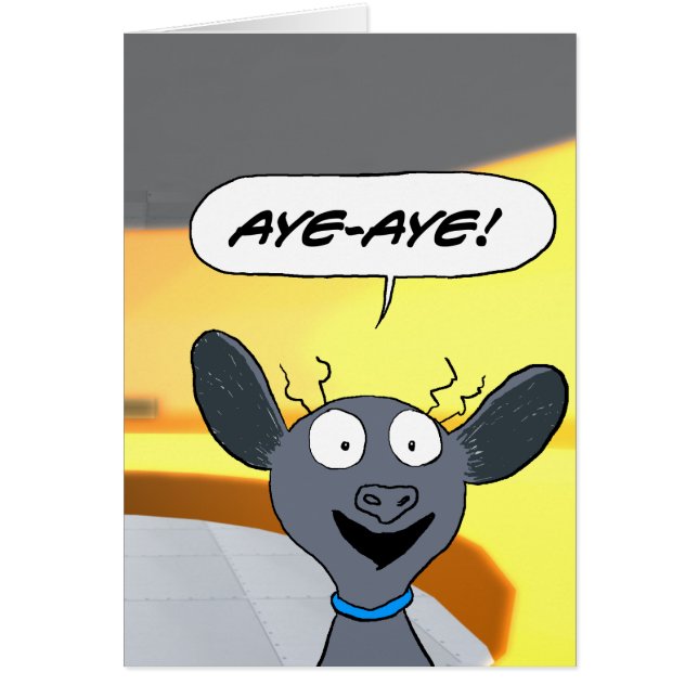 Aye-Aye! (Front)