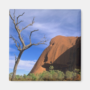 Ayers Rock Uluru in the Outback Australia Magnet