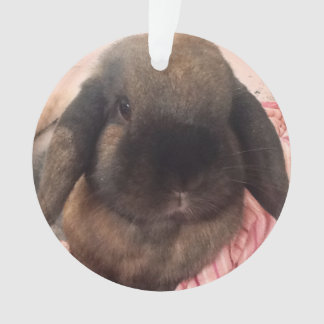 Ayez plaisir à avoir ce petit type accrocher sur