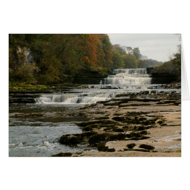 Aysgarth Lower Falls | (Front Horizontal)