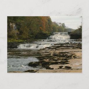Aysgarth Lower Falls - Yorkshire Dales Postcard
