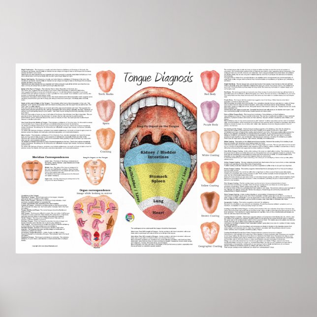Ayurvedic Tongue Diagnosis Map  Poster (Front)