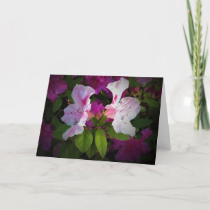 Azalea, card