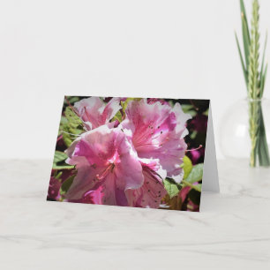 Azalea, card