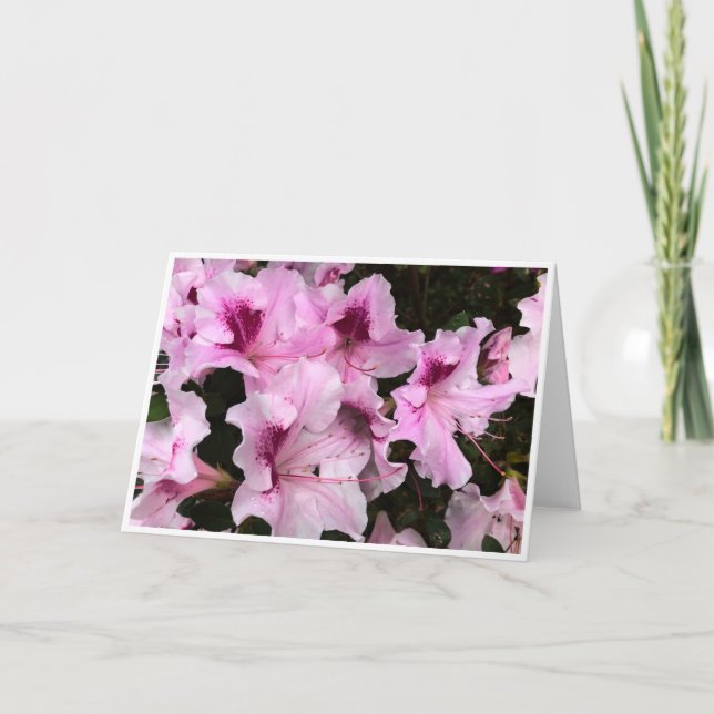 Azalea, Card (Front)