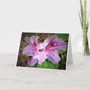 Azalea, card