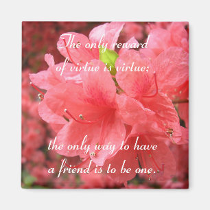 Azalea Field: Friendship - Magnet #1