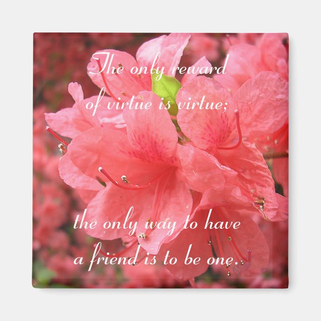Azalea Field: Friendship - Magnet #1 (Front)
